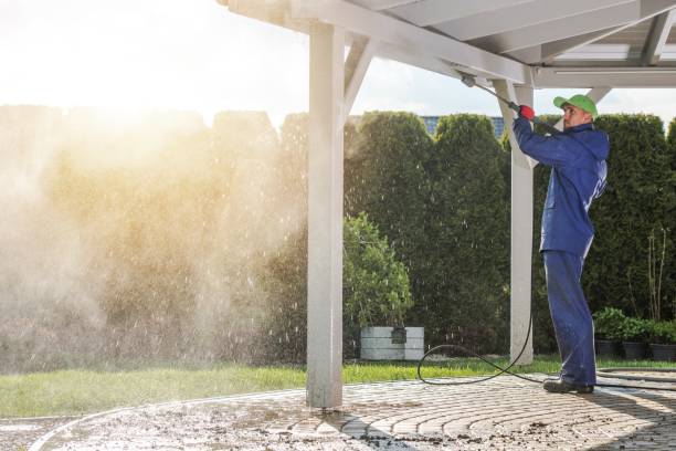 Pre-Holiday Cleaning in Groveland, FL